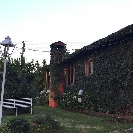 Cabanas En Mazamitla Betito Villa Dış mekan fotoğraf