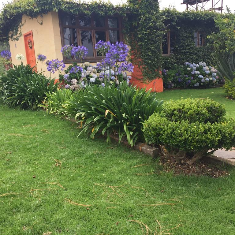 Cabanas En Mazamitla Betito Villa Dış mekan fotoğraf