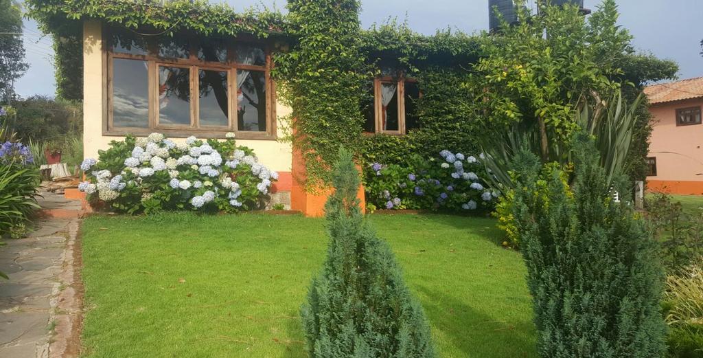 Cabanas En Mazamitla Betito Villa Dış mekan fotoğraf