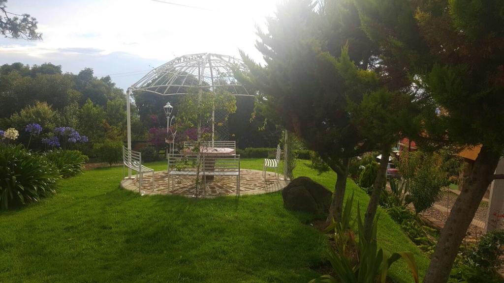 Cabanas En Mazamitla Betito Villa Dış mekan fotoğraf